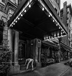 Roxy Fox (@roxysdream)