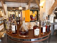 Roxy Fox (@roxysdream)