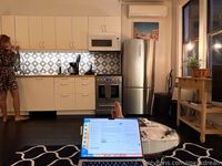 Roxy Fox (@roxysdream)