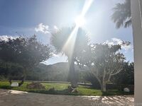 Roxy Fox (@roxysdream)