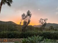 Roxy Fox (@roxysdream)