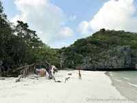 Roxy Fox (@roxysdream)