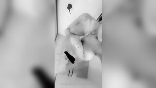 Sammy Jane Collection